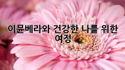 이뮨베라와 건강한 나를 위한 여정