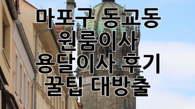 마포구 동교동 원룸이사 🚚 용달이사 후기: 꿀팁 대방출! ✨