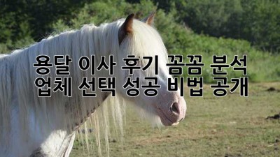 📦 용달 이사 후기 꼼꼼 분석! 업체 선택 성공 비법 공개 🔑