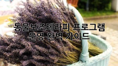 동물보조테라피 프로그램 운영 완벽 가이드